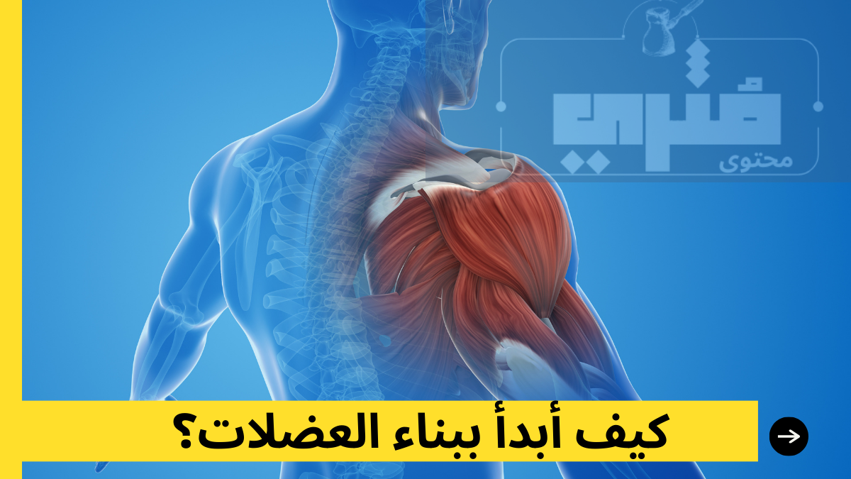 كيف أبدأ ببناء العضلات؟