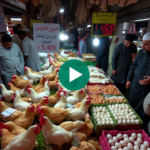 أسعار الفراخ تشهد ارتفاعًا مجددًا.. تعرف على أسعار الدواجن والبيض والبانية اليوم الأحد 9 مارس