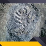 علامات الذهب و الكنوز